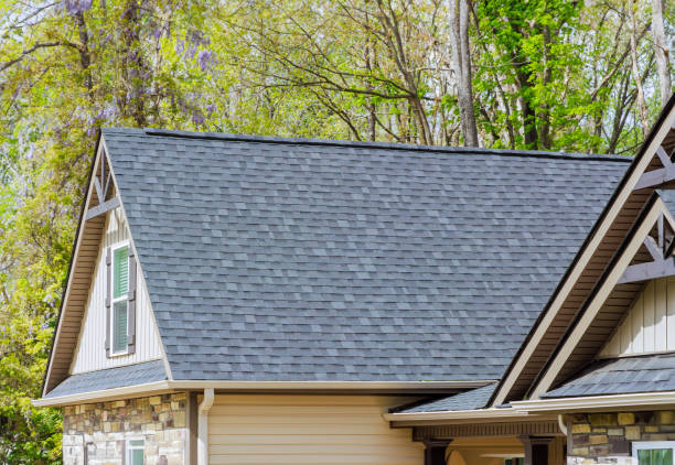 Best Green or Eco-Friendly Roofing Solutions  in Central Gardens, TX